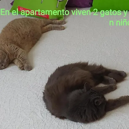 Monte Santa Barbara Justo En Frente De Usted En Un Dormitorio Privado Y Acogedor Homestay San Vicente Raspeig